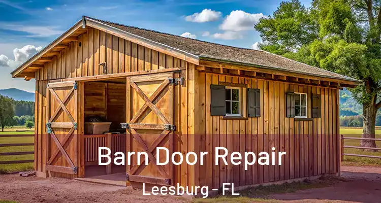  Barn Door Repair Leesburg - FL