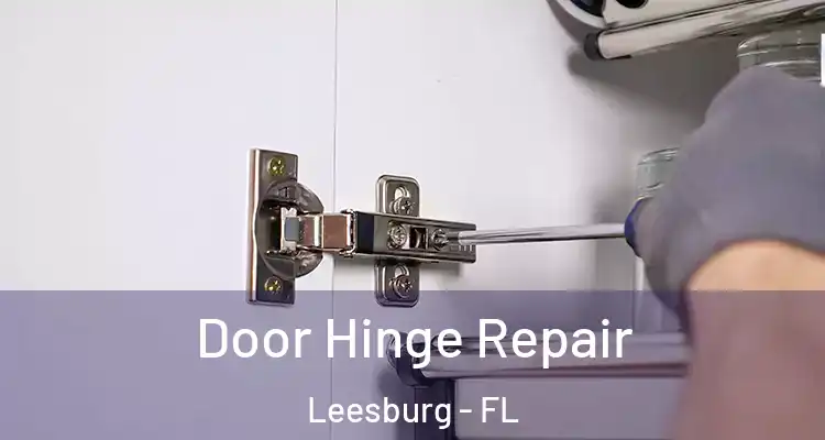  Door Hinge Repair Leesburg - FL