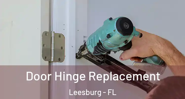  Door Hinge Replacement Leesburg - FL