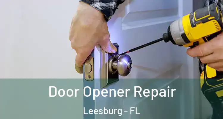  Door Opener Repair Leesburg - FL