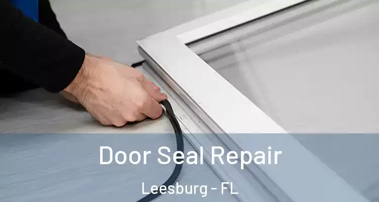  Door Seal Repair Leesburg - FL