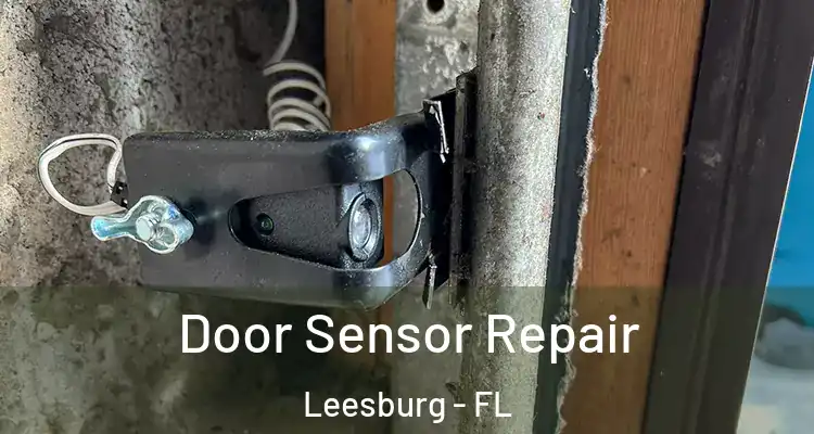  Door Sensor Repair Leesburg - FL