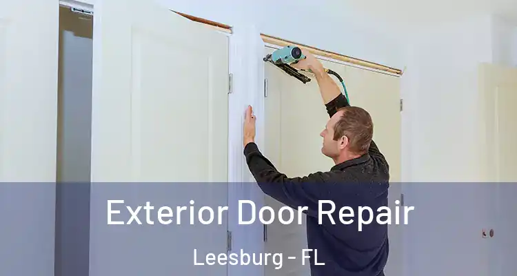  Exterior Door Repair Leesburg - FL