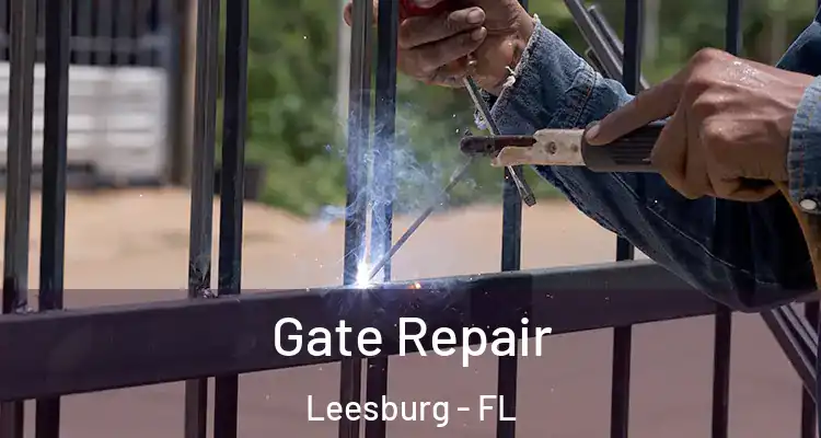  Gate Repair Leesburg - FL