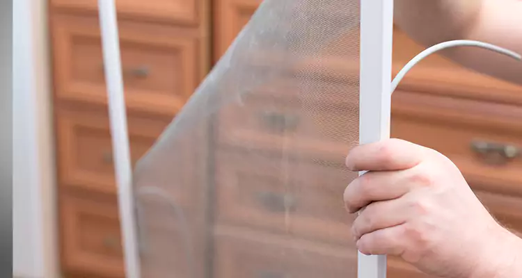 Privacy Mesh Screen Door Installation in Leesburg, FL
