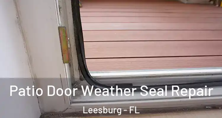  Patio Door Weather Seal Repair Leesburg - FL