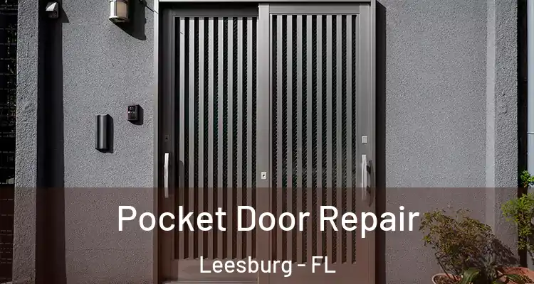  Pocket Door Repair Leesburg - FL