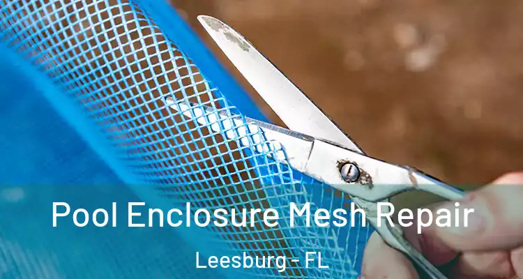  Pool Enclosure Mesh Repair Leesburg - FL