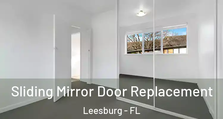  Sliding Mirror Door Replacement Leesburg - FL