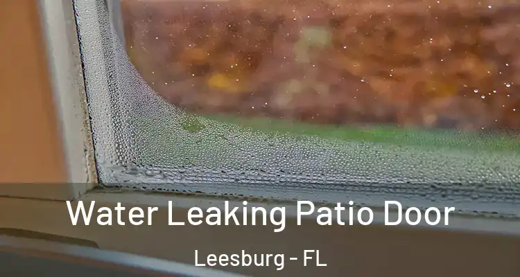  Water Leaking Patio Door Leesburg - FL