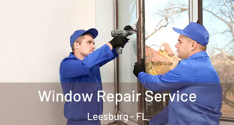  Window Repair Service Leesburg - FL